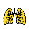 What is the Difference Between Mouth to Lung and Straight to Lung?