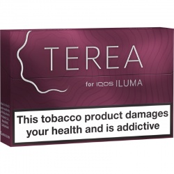 New Uwoo 3350mAh Terea Compatible Dual Heat Not Burn Sticks Davice